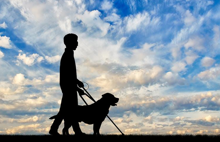 10.15国际盲人节 | 科技助盲,共享美好生活