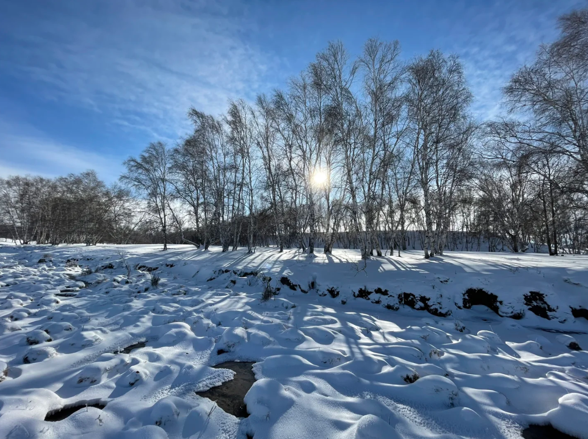 入冬高发疾病早预防,收好这份过冬攻略~