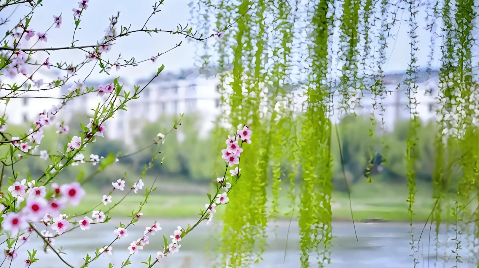 春日食春芽,七种金牌春菜的营养密码