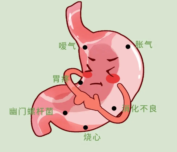 4.9国际护胃日 | 关注胃部健康，提升生活品质