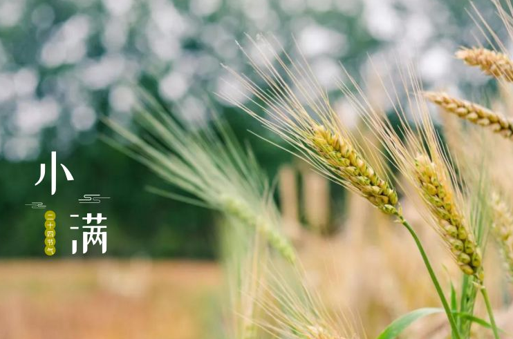 小满至,物渐盈 | 这份度夏攻略请收好!