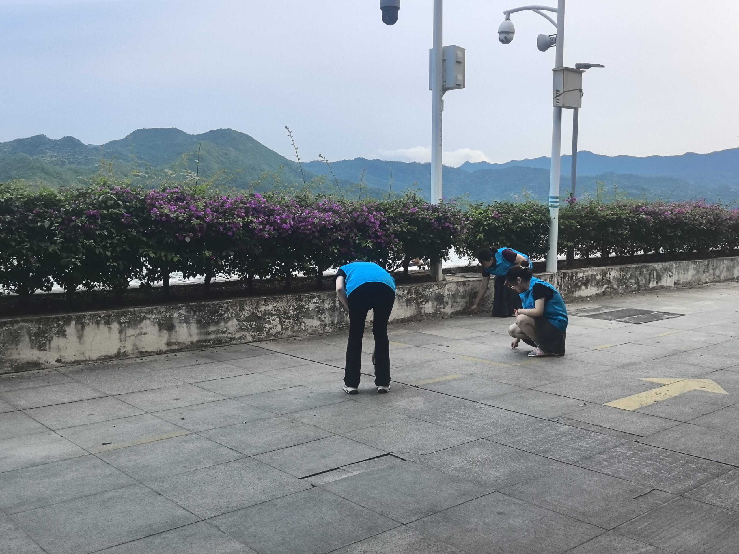 “学雷锋・志愿服务月” 主题党日活动